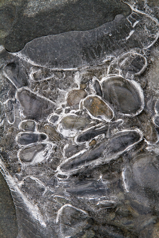 River Rocks Encased In Ice